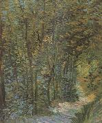 Vincent Van Gogh Path in the Woods (nn04) Spain oil painting reproduction